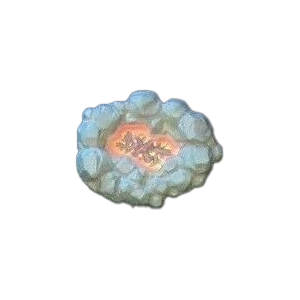 Firepit (w/ sticker)