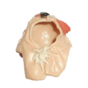 Paploo Hood
